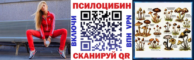 shop наркотические препараты  Тында  Псилоцибиновые грибы Magic Shrooms 