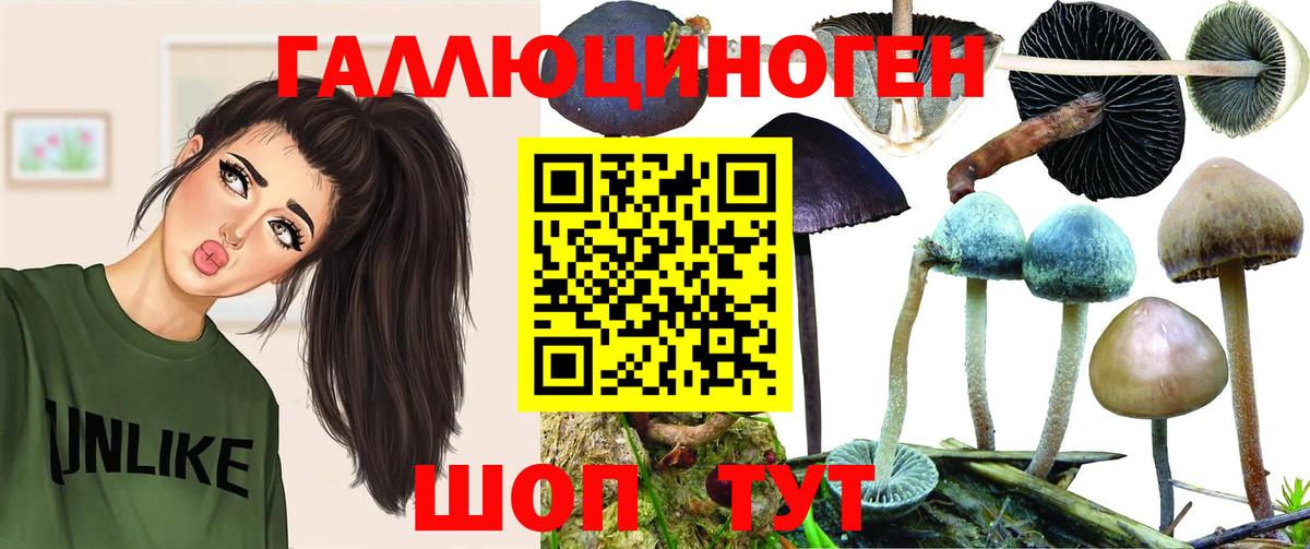 купить наркотики сайты  Галлюциногенные грибы прущие грибы  Вход с VPN  Тында 